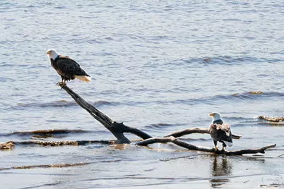 46 River Edge Drive, Woolwich, ME 04579 - Photo 187