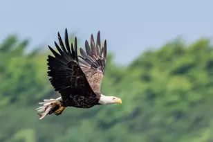 46 River Edge Dr, Woolwich, ME 04579 - Photo 185