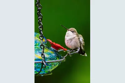 46 River Edge Drive, Woolwich, ME 04579 - Photo 65