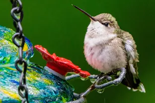 46 River Edge Dr, Woolwich, ME 04579 - Photo 65