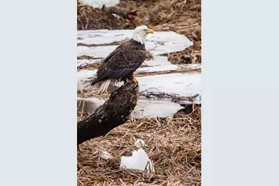 46 River Edge Drive, Woolwich, ME 04579 - Photo 189