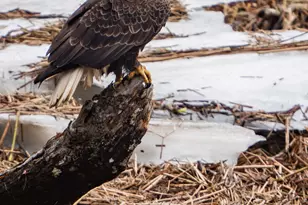 46 River Edge Dr, Woolwich, ME 04579 - Photo 189