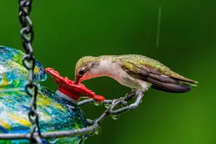 46 River Edge Dr, Woolwich, ME 04579 - Photo 191