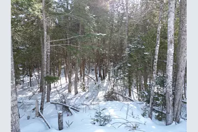 20 Twin Springs Lane, Lincoln, ME 04457 - Photo 3