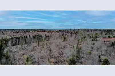 0 Lively Brook Road, Whiting, ME 04691 - Photo 49