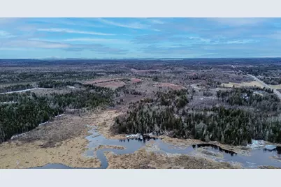 0 Lively Brook Road, Whiting, ME 04691 - Photo 7