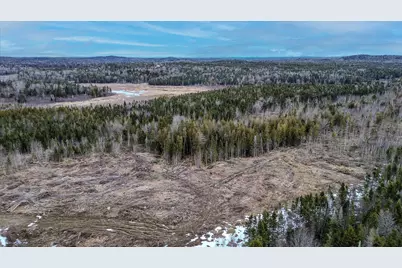 0 Lively Brook Road, Whiting, ME 04691 - Photo 31