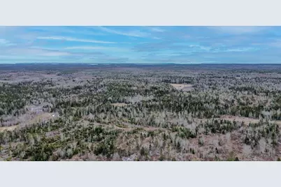 0 Lively Brook Road, Whiting, ME 04691 - Photo 29