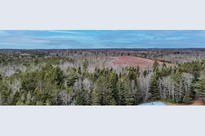 0 Lively Brook Road, Whiting, ME 04691 - Photo 47