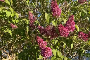 13 McMullen Ave, Tremont, ME 04653 - Photo 61