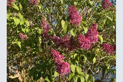 13 McMullen Avenue, Tremont, ME 04653 - Photo 81