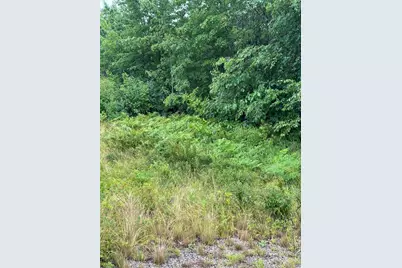 Lot 60 Tenan Lane, Cherryfield, ME 04622 - Photo 3