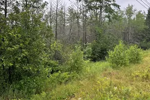 Lot 60 Tenan Ln, Cherryfield, ME 04622 - Photo 1