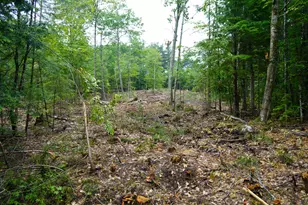 89 Chapman Rd, Harrison, ME 04040 - Photo 1