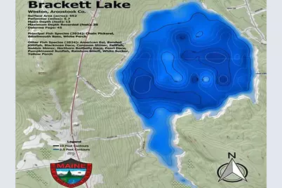 93 Brackett Drive, Weston, ME 04424 - Photo 43