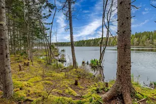 176 N Main St, Stonington, ME 04681 - Photo 47