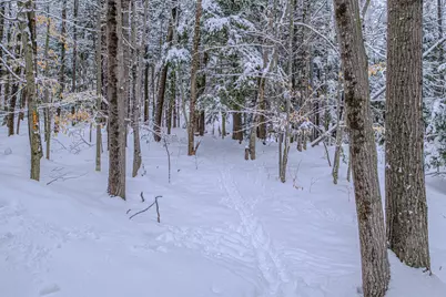 45 Viking Village Road, Newry, ME 04261 - Photo 51