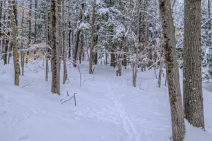 45 Viking Village Rd, Newry, ME 04261 - Photo 51