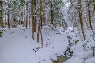 45 Viking Village Rd, Newry, ME 04261 - Photo 55