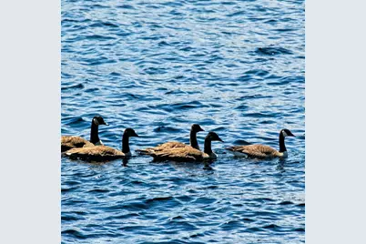 150 Birchwood Road, Gray, ME 04039 - Photo 31