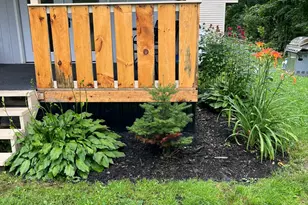 221 Shirley Rd, Blanchard Twp, ME 04406 - Photo 45