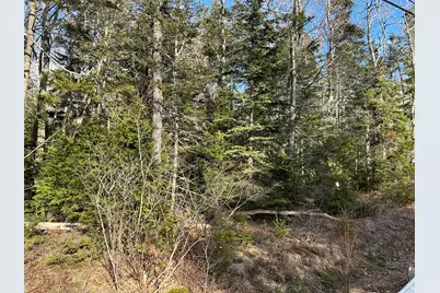 50 Cline Road, Saint George, ME 04859 - Photo 19