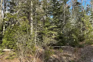 50 Cline Rd, Saint George, ME 04859 - Photo 19