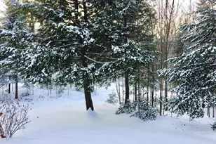 281 Tower Rd, Vienna, ME 04360 - Photo 35