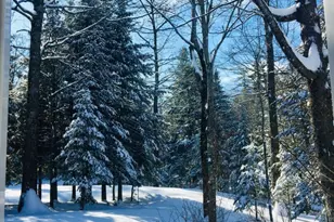 281 Tower Rd, Vienna, ME 04360 - Photo 11