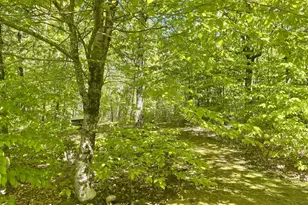 281 Tower Rd, Vienna, ME 04360 - Photo 49