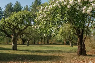 109 Sahagian Rd, Belgrade, ME 04917 - Photo 9