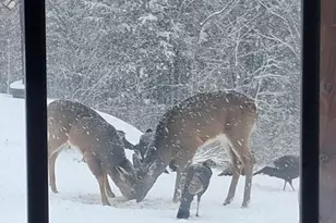 459 Adams Rd, Waterville, ME 04938 - Photo 29