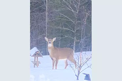 459 Adams Road, Waterville, ME 04938 - Photo 29