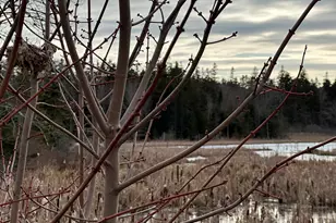 Lot #10 Ridge Rd, Saint George, ME 04860 - Photo 1