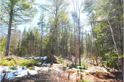 Lot 032/6A Mayflower Lane #Map RO2 Lot 32/06A1, Lebanon, ME 04027 - Photo 7