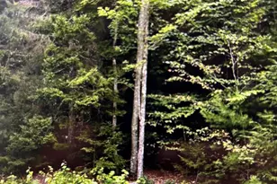 163 Sandy Acres Dr, Sullivan, ME 04664 - Photo 1