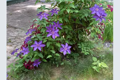 22 Dyer Lane, Casco, ME 04015 - Photo 39