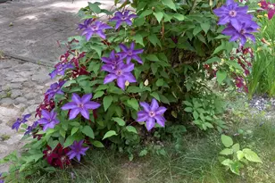 22 Dyer Ln, Casco, ME 04015 - Photo 39