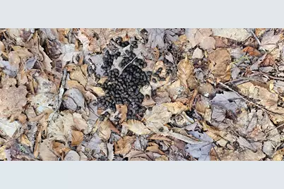 31, 31-1 Weymouth Road, Albion, ME 04910 - Photo 7