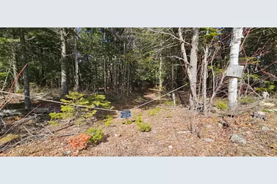 31, 31-1 Weymouth Road, Albion, ME 04910 - Photo 5