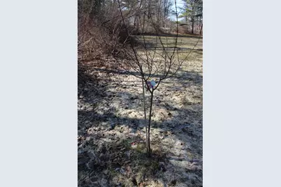 247 S Belfast Avenue, Augusta, ME 04330 - Photo 15