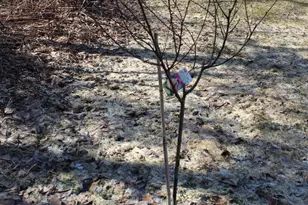 247 S Belfast Ave, Augusta, ME 04330 - Photo 15