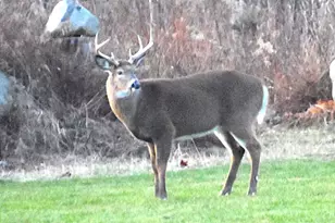 260 Nyes Corner Rd, Saint Albans, ME 04971 - Photo 51