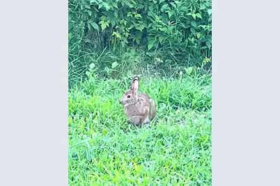 260 Nyes Corner Road, Saint Albans, ME 04971 - Photo 37