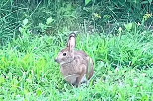 260 Nyes Corner Rd, Saint Albans, ME 04971 - Photo 37