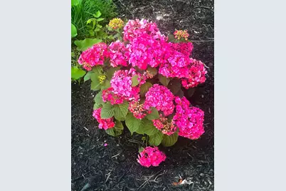 260 Nyes Corner Road, Saint Albans, ME 04971 - Photo 47