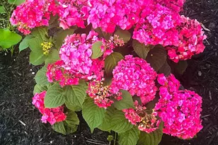 260 Nyes Corner Rd, Saint Albans, ME 04971 - Photo 47