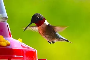 260 Nyes Corner Rd, Saint Albans, ME 04971 - Photo 49