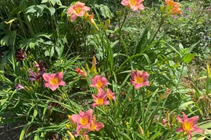 71A Black Point Rd, New Gloucester, ME 04260 - Photo 79