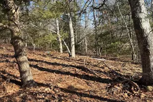 # State Hwy 3 Town Hill, Bar Harbor, ME 04609 - Photo 1